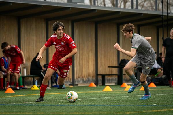 2026-07-15｜奥运测试赛｜多项目联合测试