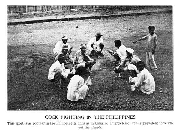 资金管理技术指导：风险控制与收益优化